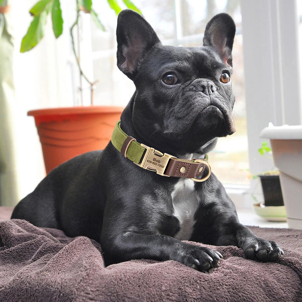 PawLux™ Personalized Leather Dog Collar - Custom Engraved Nameplate